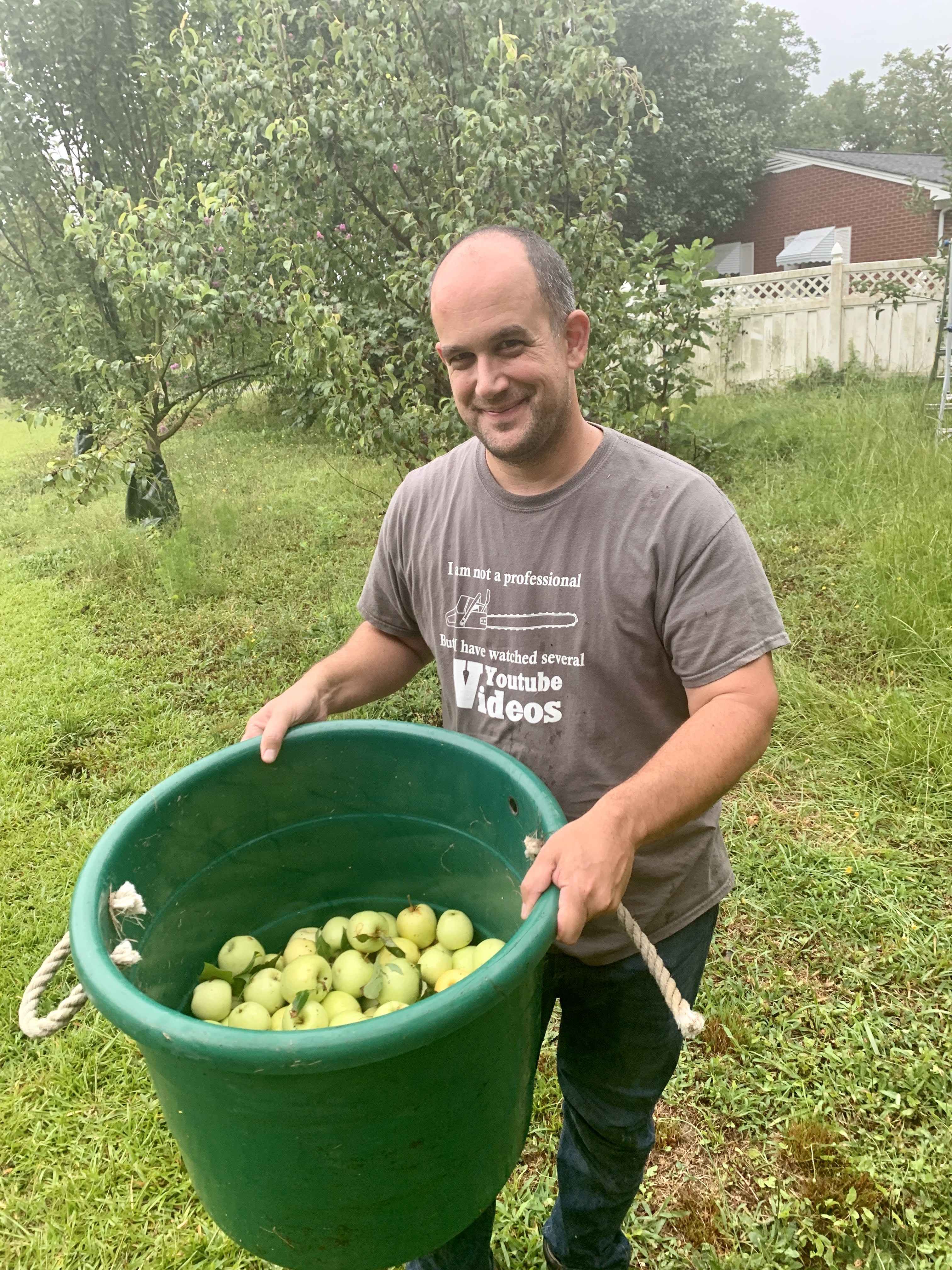 Fruit trees